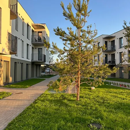 Blue Sky Kunigiskiai *