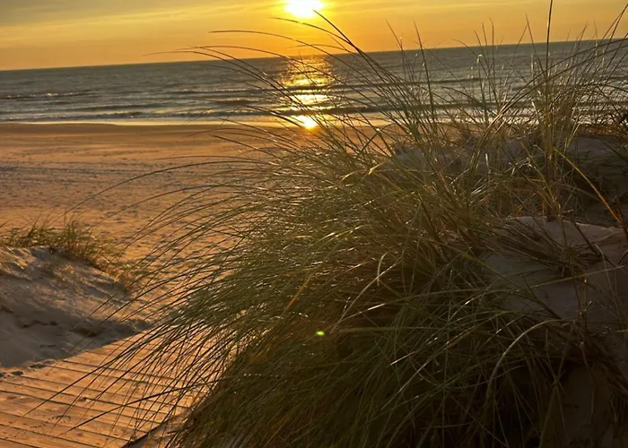 Апартаменты Blue Sky Kunigiskiai