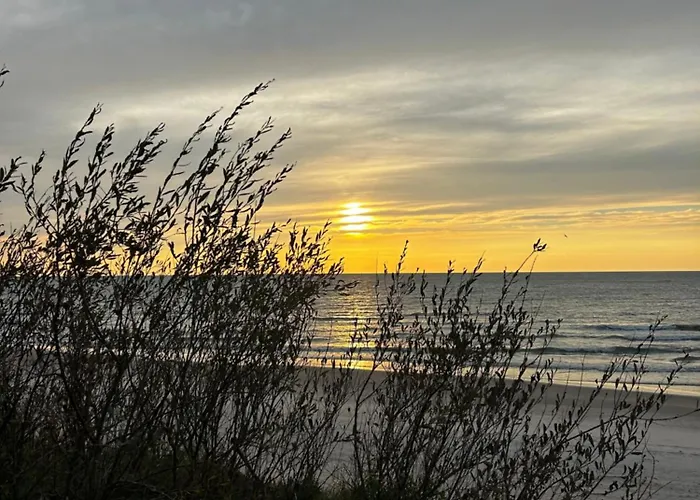 Апартаменты Blue Sky Kunigiskiai Паланга